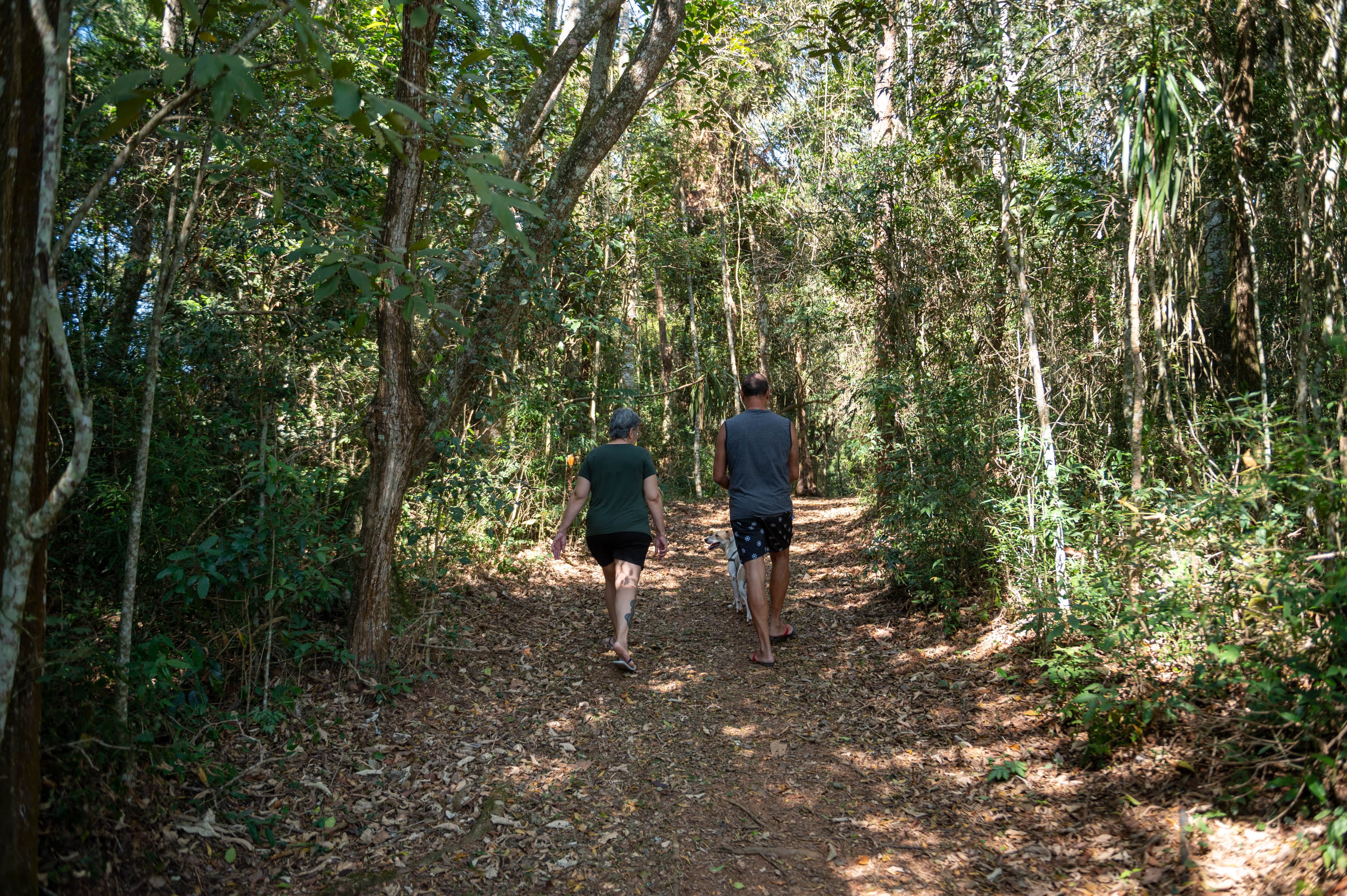 Vista do Vapo Camping EcoPark — banner 3