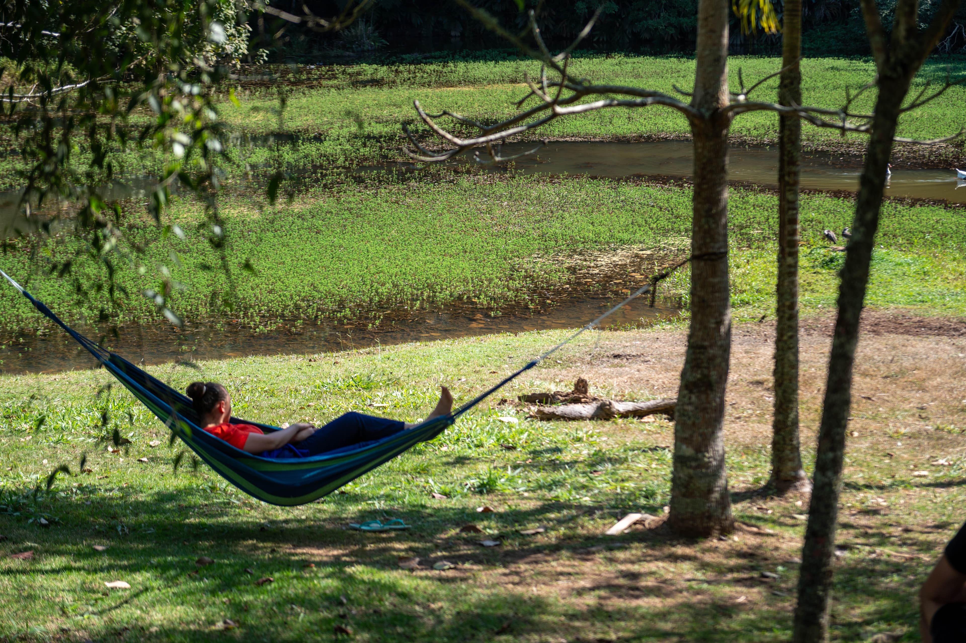 Vapo Camping EcoPark — foto 46