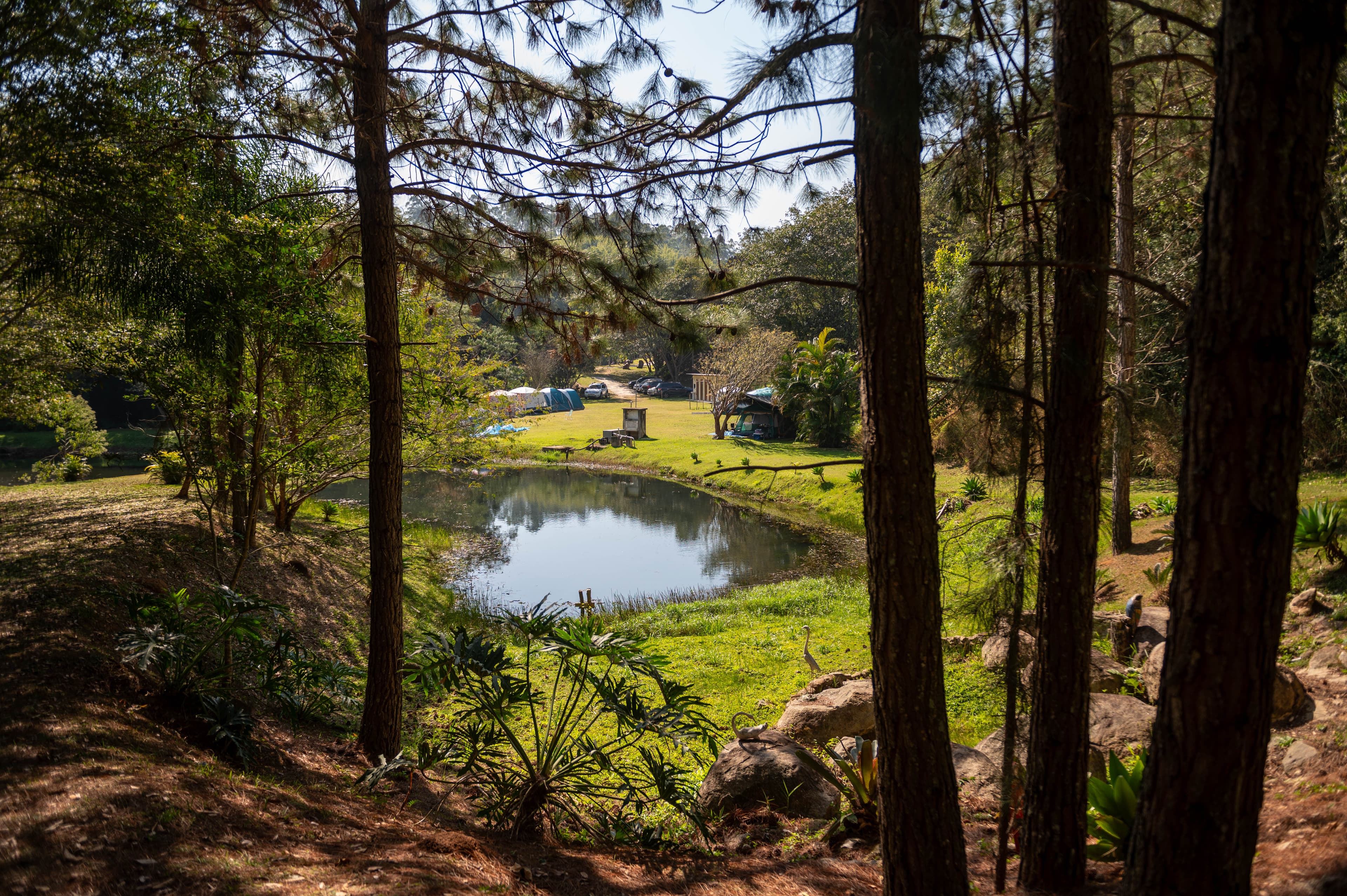 Vapo Camping EcoPark — foto 56