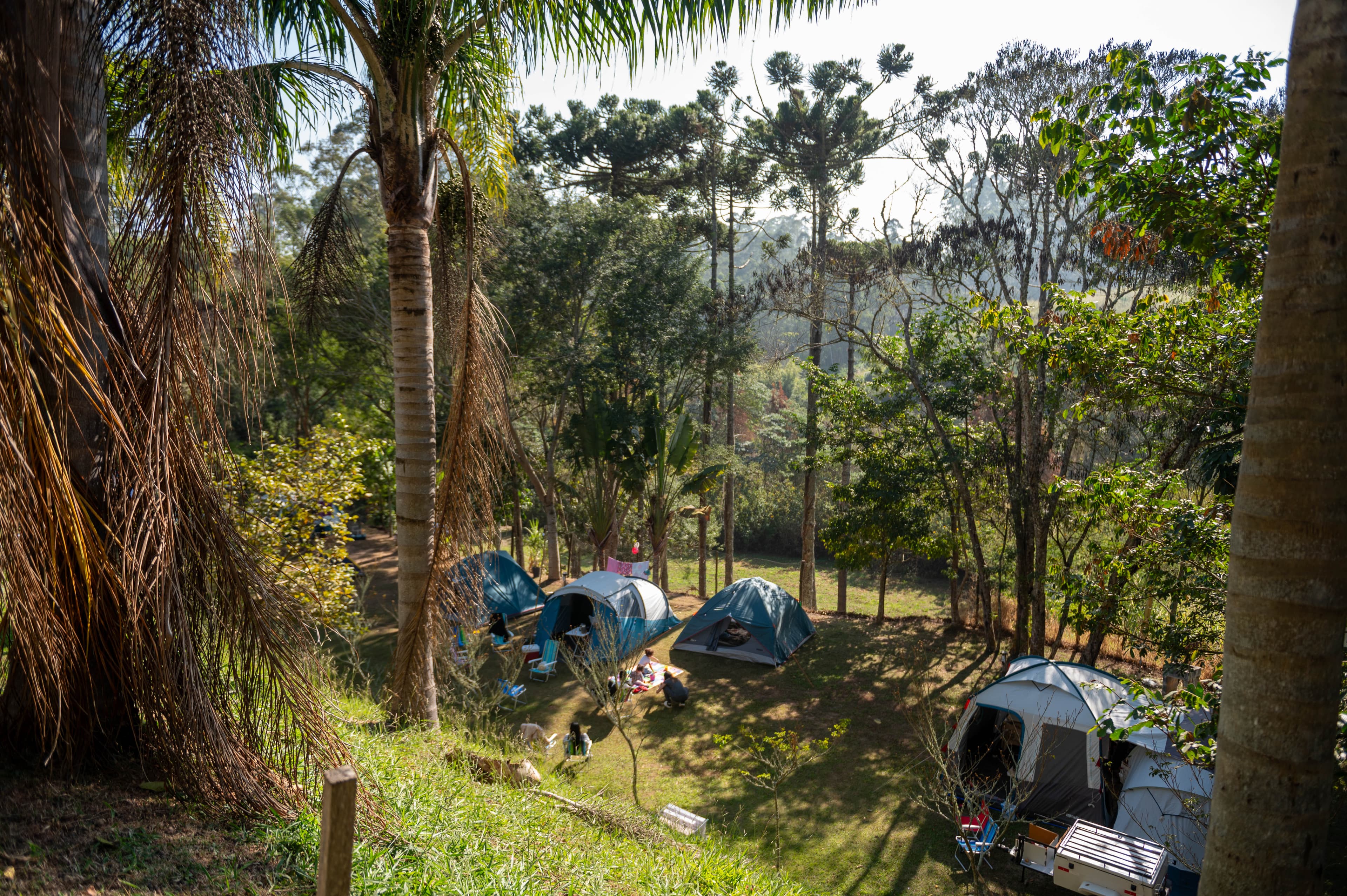 Vapo Camping EcoPark — foto 29