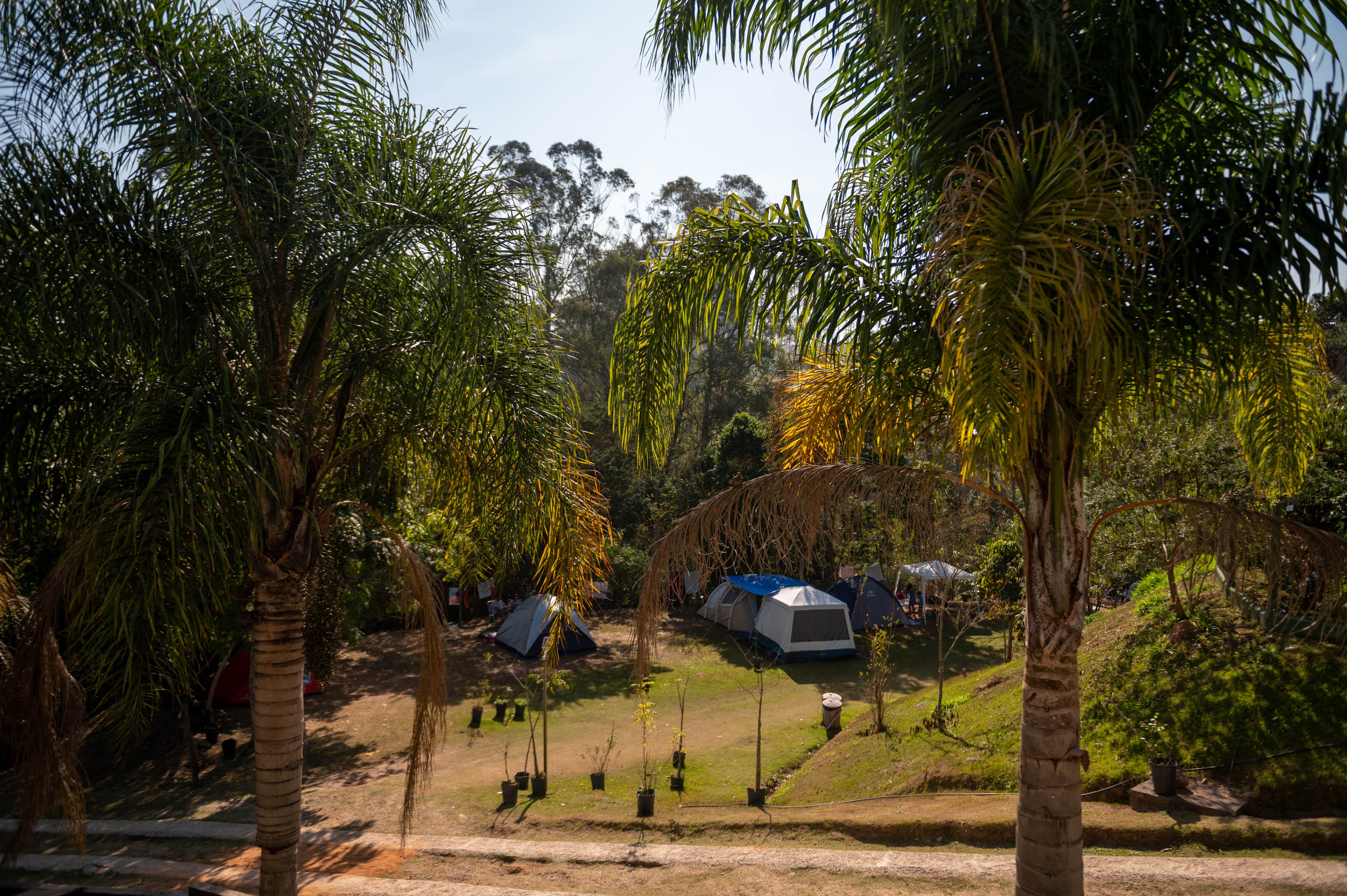 Vapo Camping EcoPark — foto 32